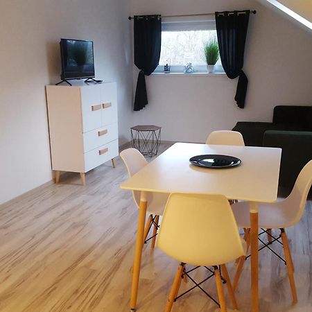 Apartamenty - Pod Wierzbami Dwikozy Quarto foto