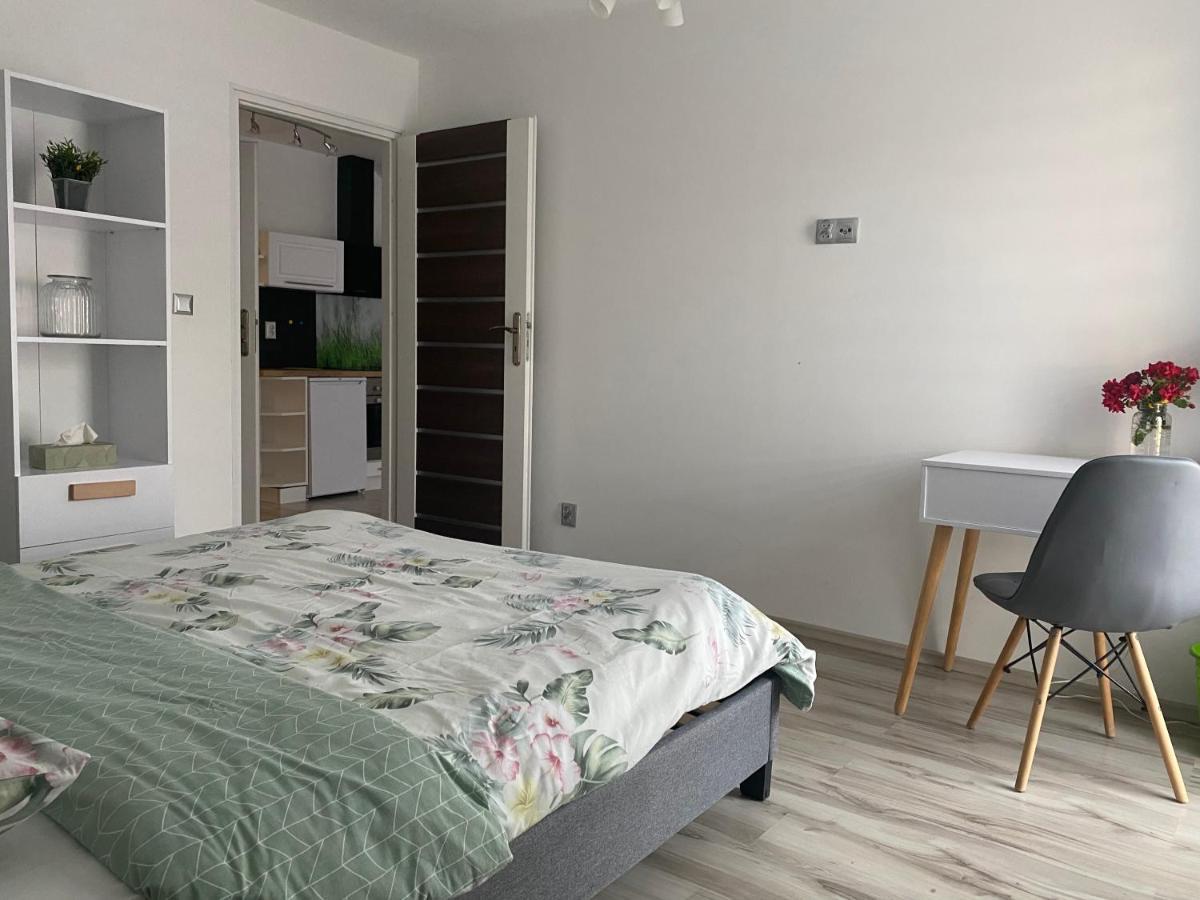 Apartamenty - Pod Wierzbami Dwikozy Exterior foto
